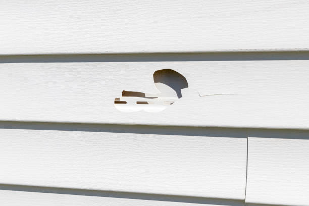 Best Insulated Siding Installation  in Belfast, ME